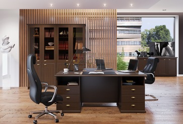 Кабинет руководителя RAUT