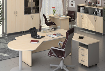 Кабинет руководителя Берлин-Директор